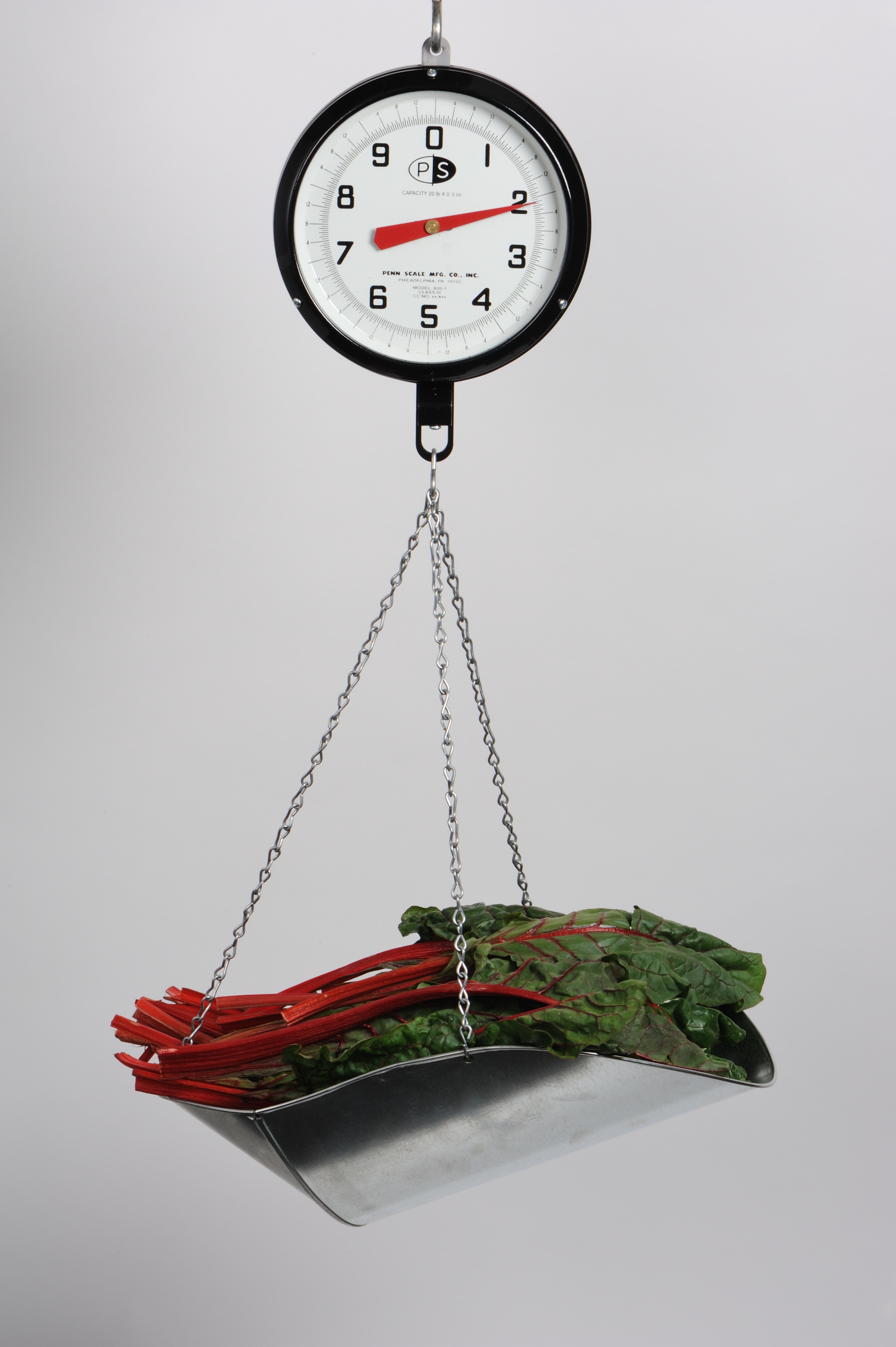 Front Dial Hanging Scale